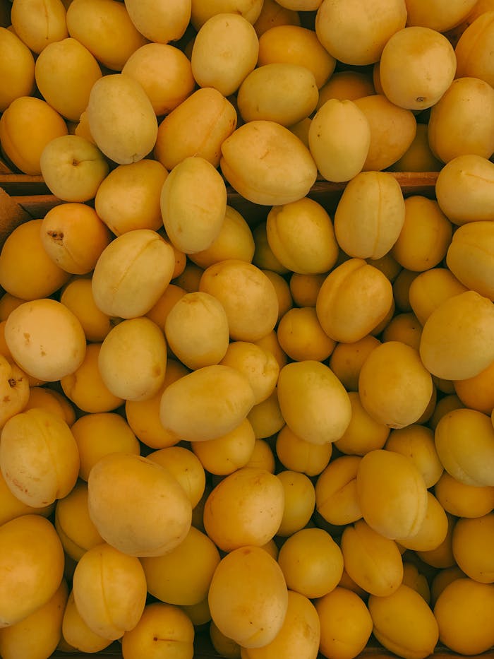 pexels photo 8588249.jpeg